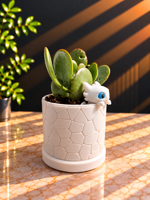 Pot de fleurs décoratif – Blanc ou Noir
